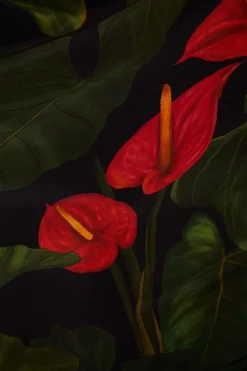 FARM Rio Robes Longues<Robe longue noire Anthurium à col en V
