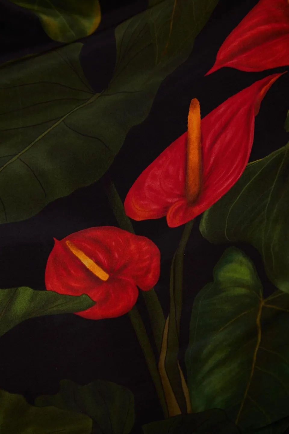 FARM Rio Robes Longues<Robe longue noire Anthurium à col en V