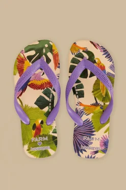 FARM Rio Des Sandales<Sandales Farm Passaros Pintados Havaianas
