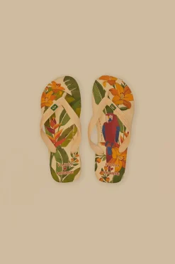 FARM Rio Des Sandales<Sandales Havaianas Farm Ararinhas